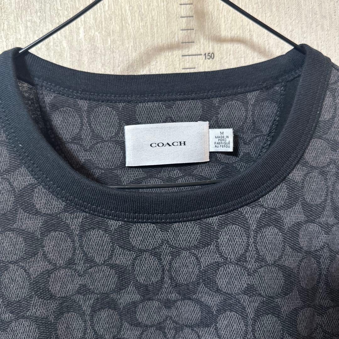COACH コーチ エッセンシャル シグネチャー Tシャツ 半袖