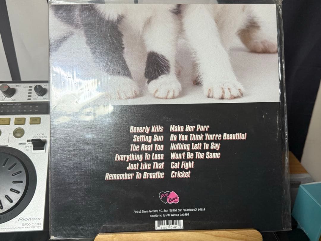 Dance Hall Crashers LPレコード3枚セット