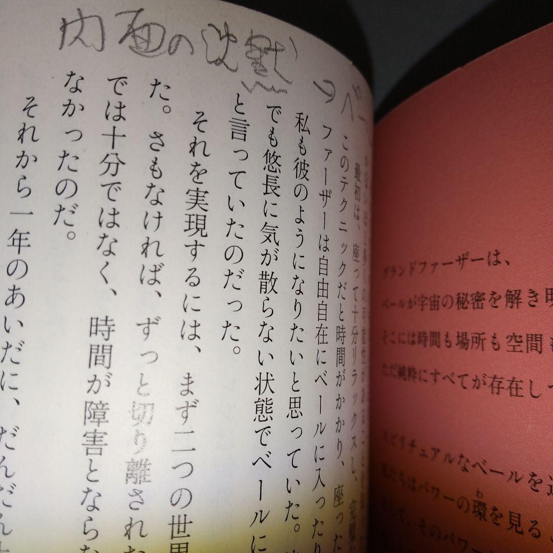 ヴィジョン―次元のベールを超えて見た地球の未来