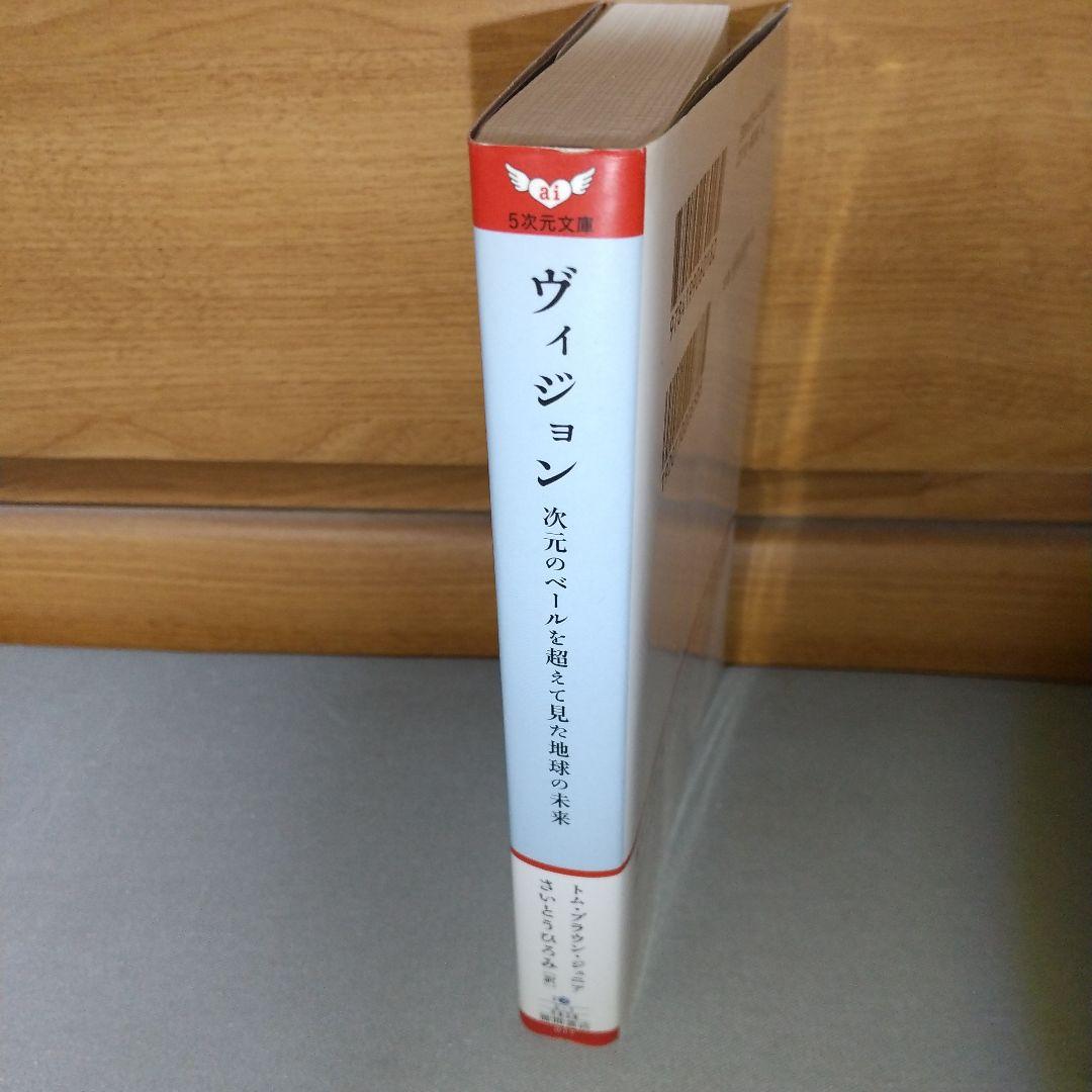 ヴィジョン―次元のベールを超えて見た地球の未来