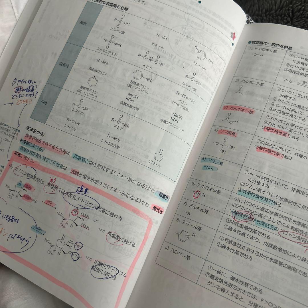 111回薬剤師国家試験 青本 薬学部 薬学 国試