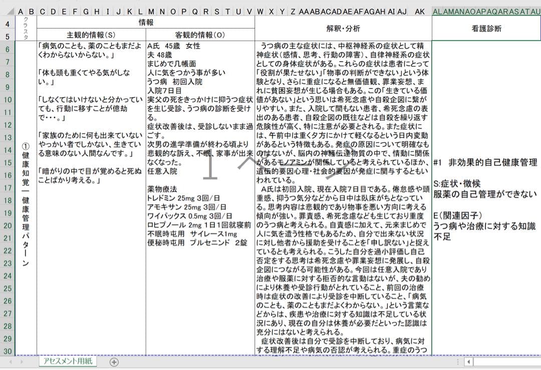 ほたる様 看護学校 看護学生 看護過程 アセスメント 実習記録 レポート 国試
