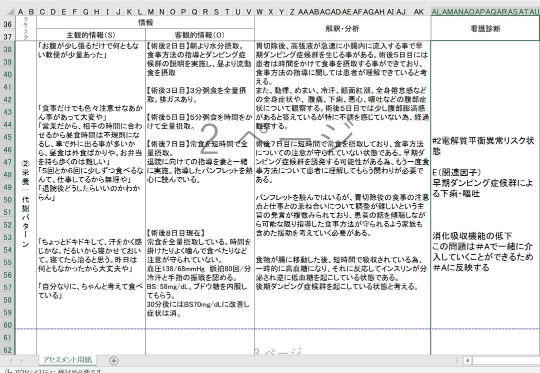 ほたる様 看護学校 看護学生 看護過程 アセスメント 実習記録 レポート 国試