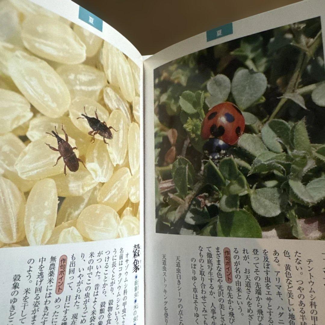 俳句の暮らしと行事 上・下巻 他　6冊まとめ売り