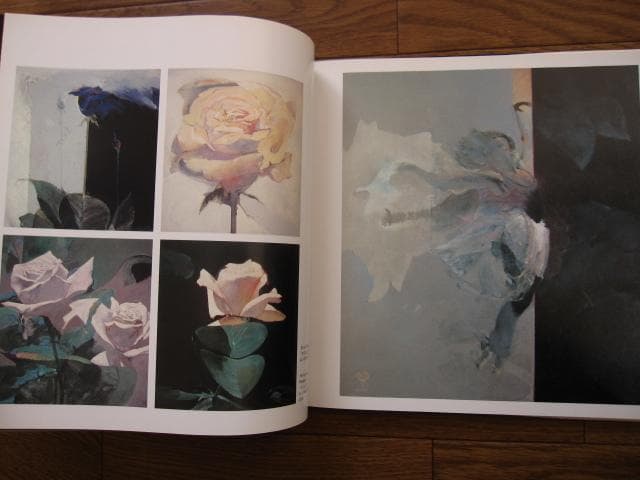 ロバート・ハインデル作品集　Robert Heindel