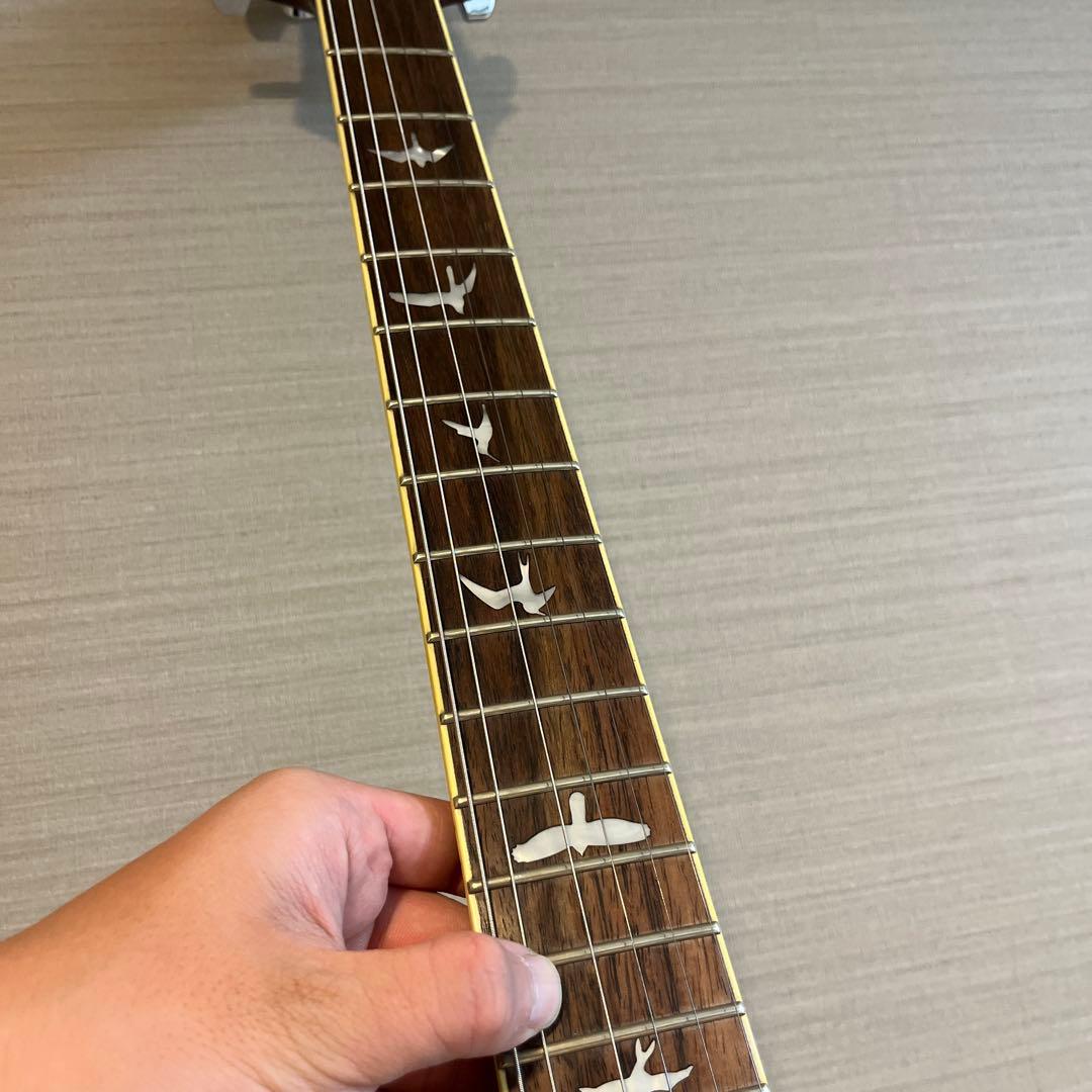 ギター PRS SE Standard custom24