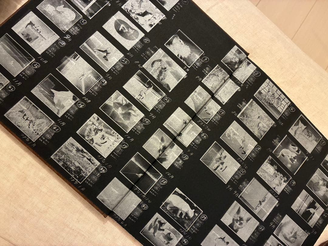 深瀬昌久 写真集 Afterword 【初版900部・日記付き】