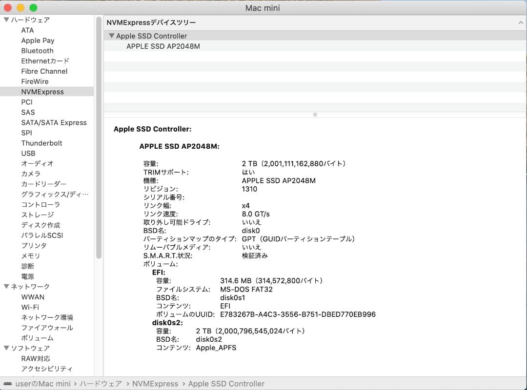 大容量 Apple Mac mini 2018 Nvme 2TB 64G RAM
