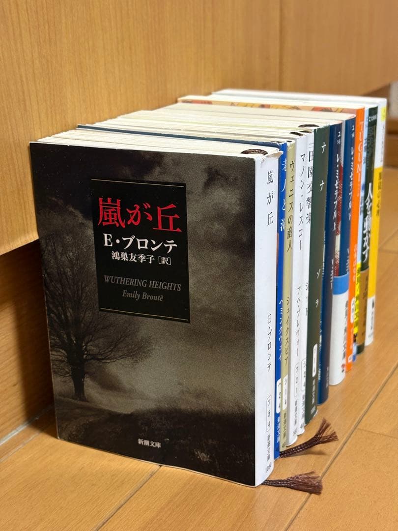 【名作文学・自己啓発本12冊セット】人を動かす／レ・ミゼラブル／嵐が丘 ほか