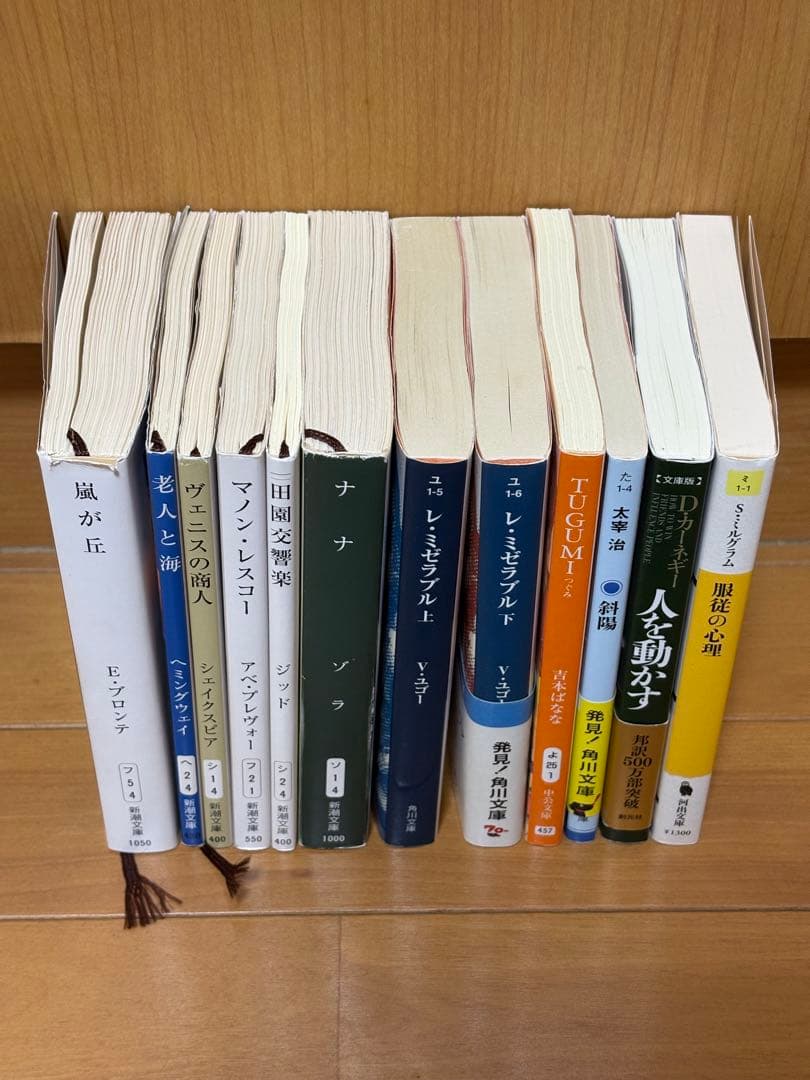 【名作文学・自己啓発本12冊セット】人を動かす／レ・ミゼラブル／嵐が丘 ほか