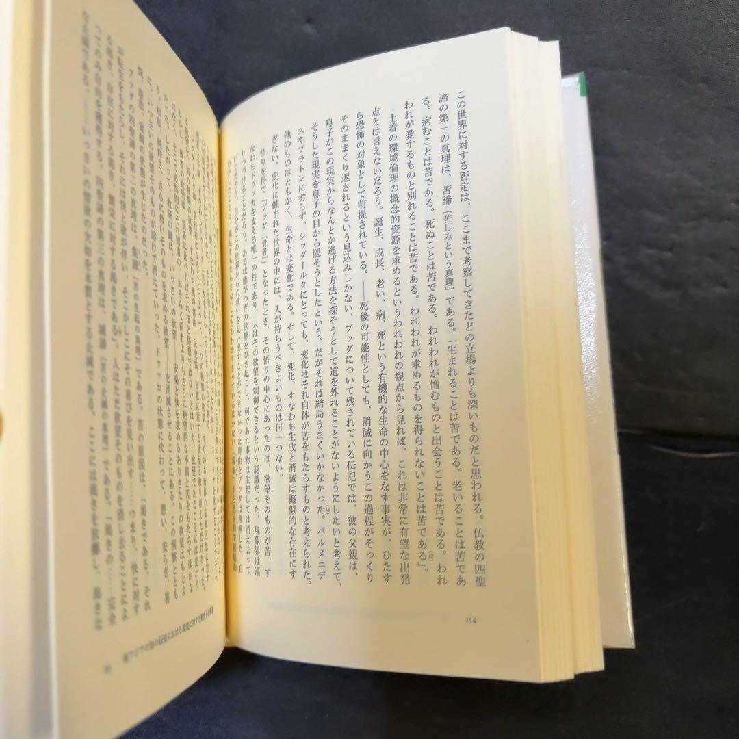 難あり 地球の洞察 : 多文化時代の環境哲学