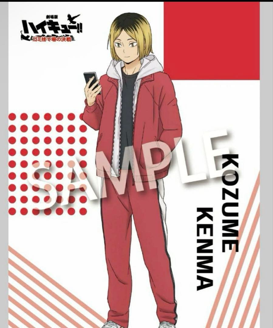 劇場版ハイキュー!! ゴミ捨て場の決戦』 楽天特典付き DVD