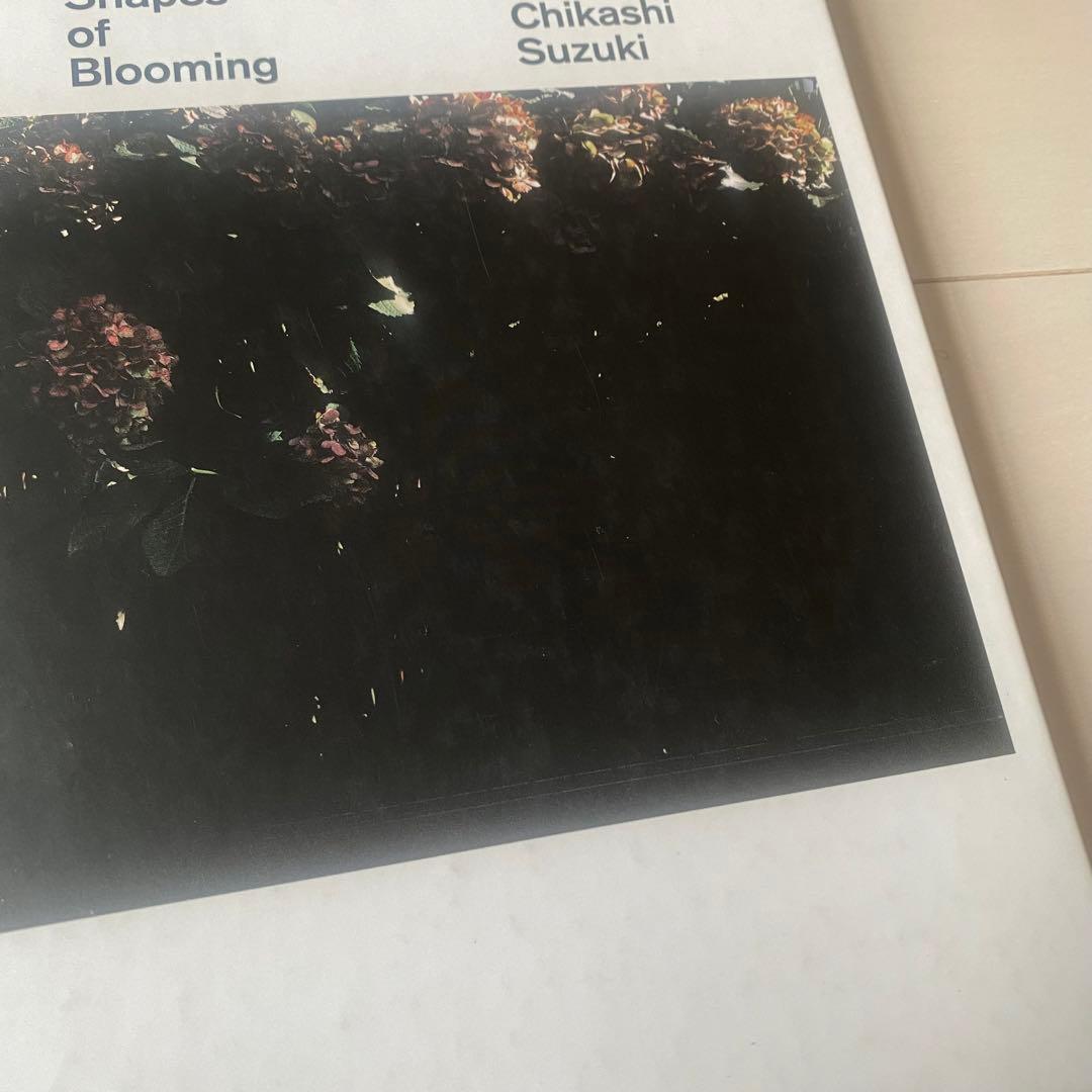 鈴木親 Shapes of Blooming