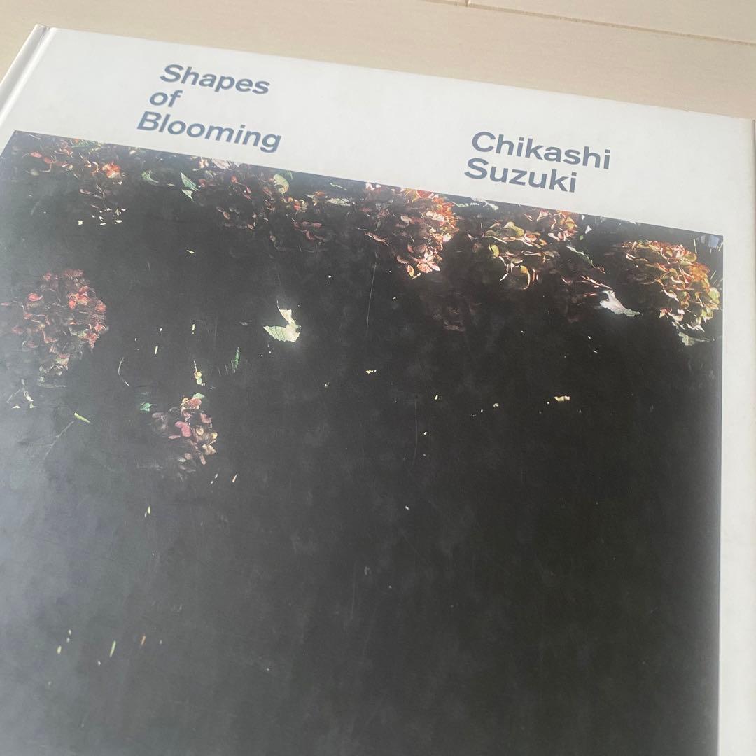 鈴木親 Shapes of Blooming