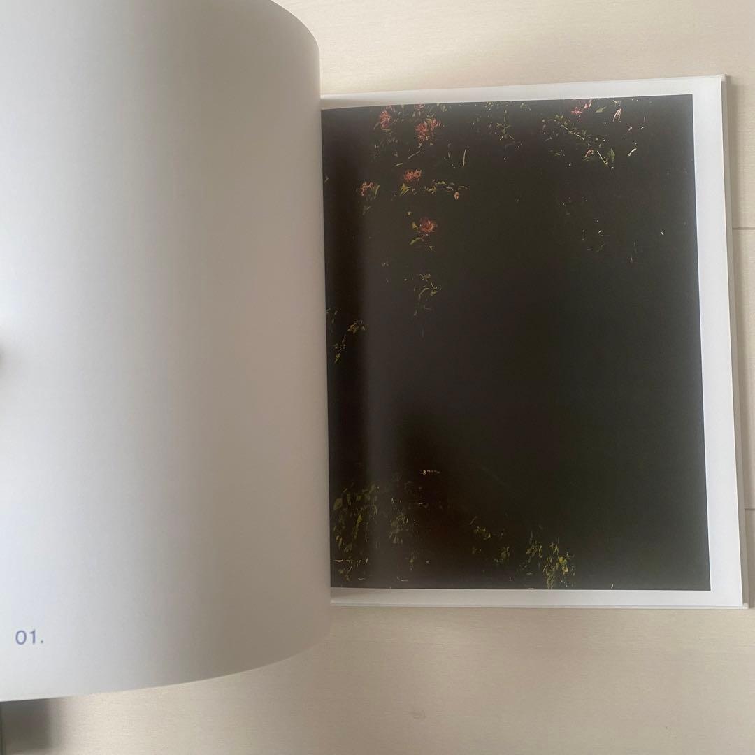 鈴木親 Shapes of Blooming