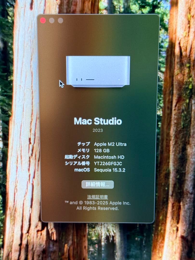 Apple Mac Studio M2Ultra 128GBメモリ 2TBSSD