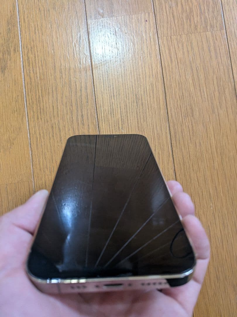iPhone12PRO　256GB【美品】