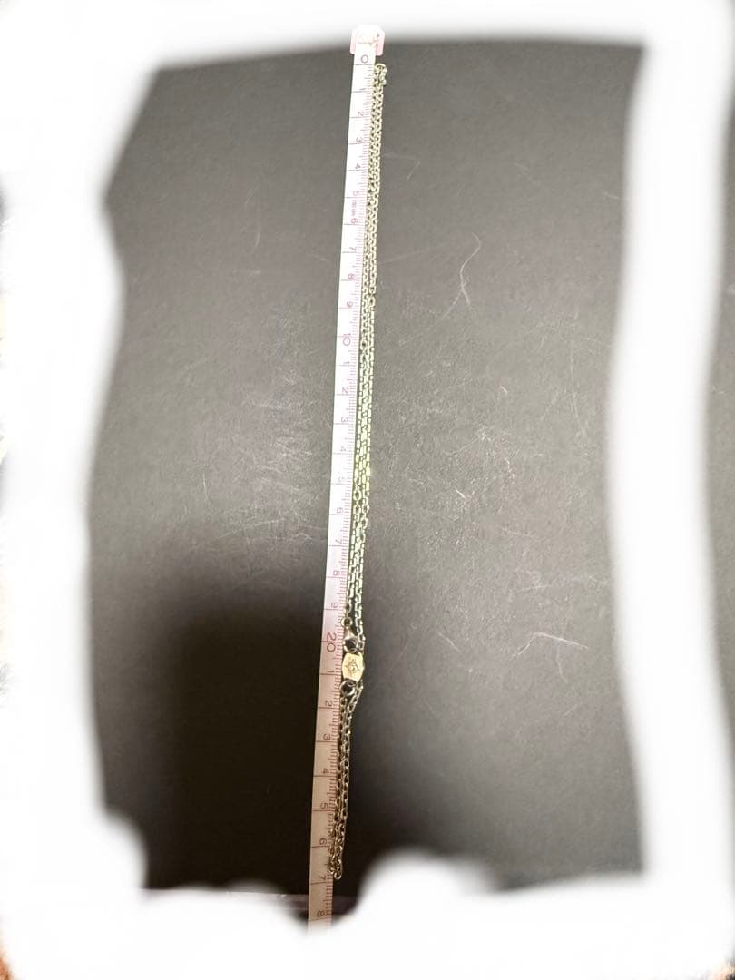 ジ*ト様 アリゾナフリーダム　チェーン　54cm