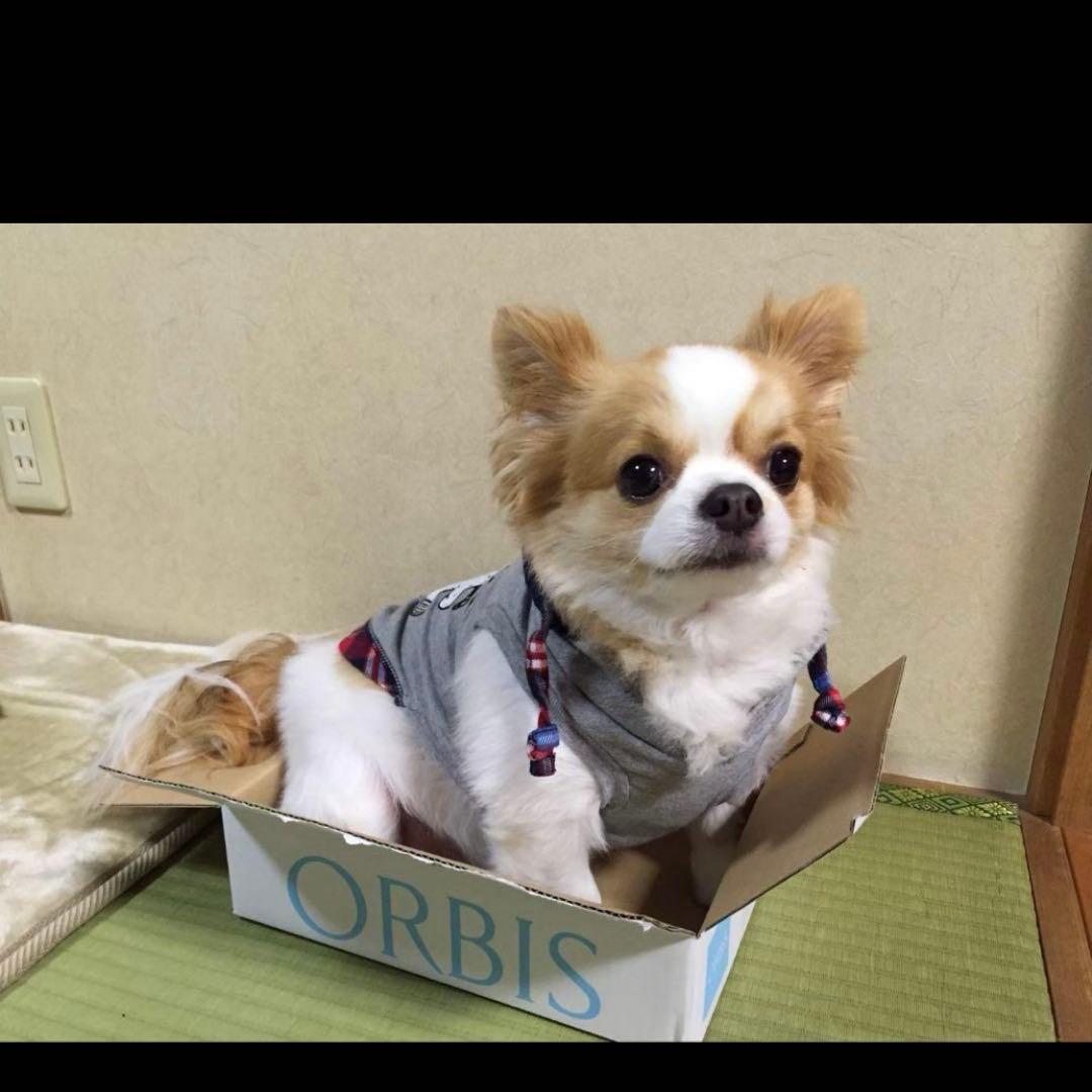ケイ