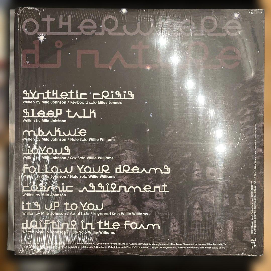 DJ Nature OTHERWHERE　アナログレコード