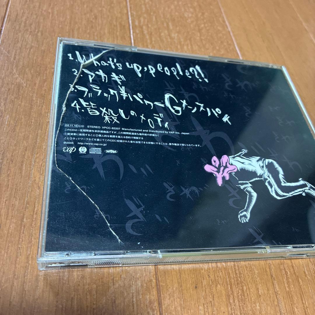 マキシマムザホルモン　CD DVD セット