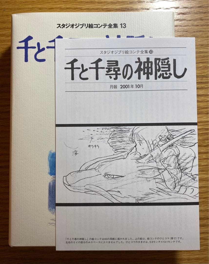 【初版】千と千尋の神隠し 絵コンテ 全集13 ジブリ （月報付き）