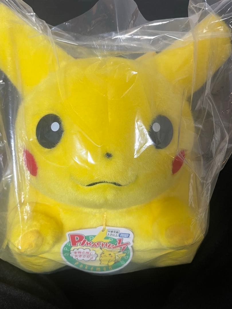 s*o様 ポケモン30周年記念おかえり!ピカチュウ1/1