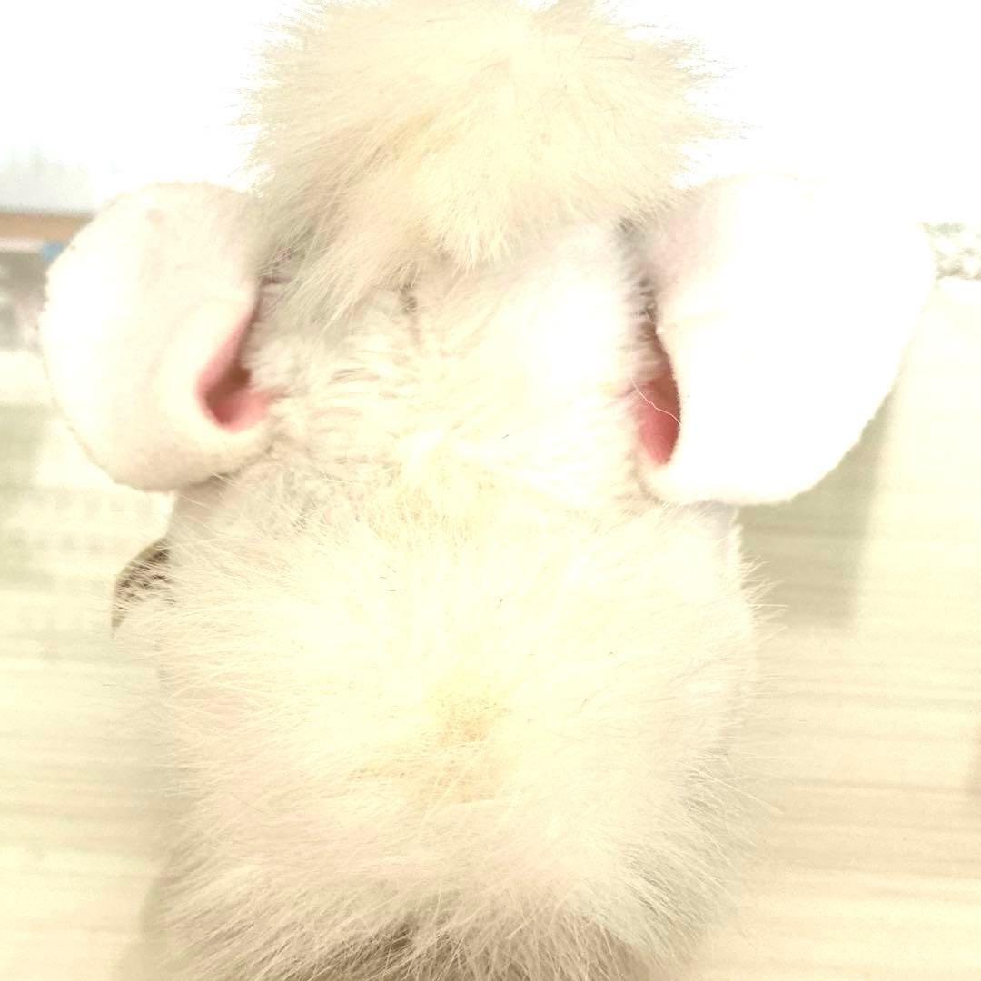 ファービー　Furby ホワイトカラー&ブルーアイ　TOMY