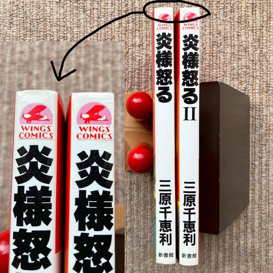 【全巻】 炎様怒る　全2巻　三原千恵利