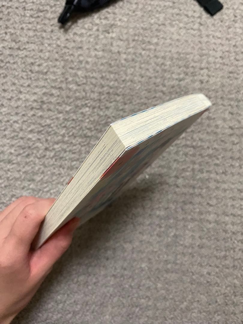 漫画 小説 バラ売り○ 値下げ交渉○