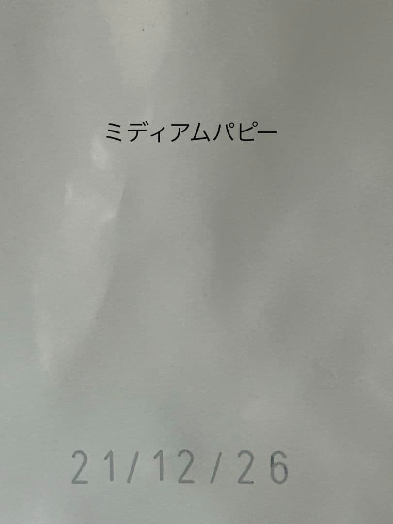  CANIN ミディアム パピー 16kg