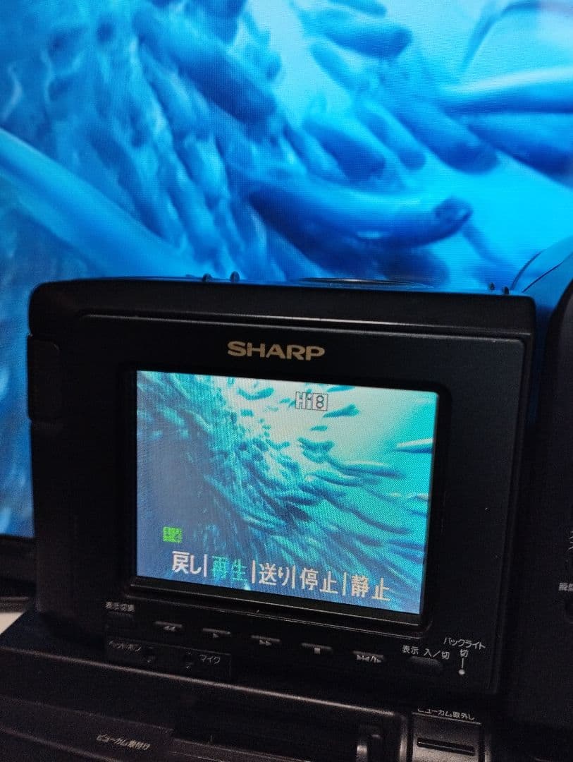 ダビング◎　シャープ　Hi8 ８ミリビデオカメラ　VL-HL100　動作確認済