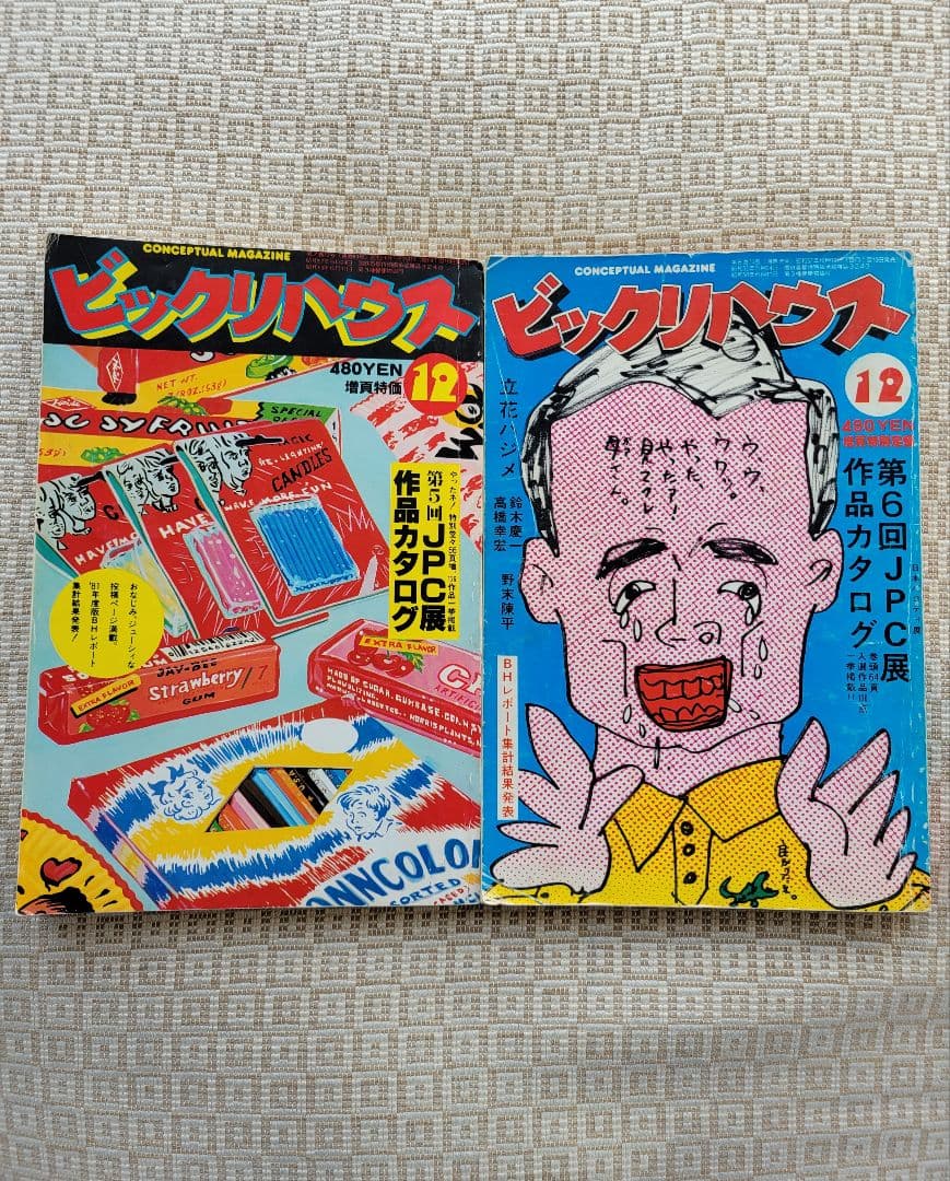 ビックリハウス創刊号・二周年記念号・終刊号・復刊号ほか全10冊セット　パルコ出版