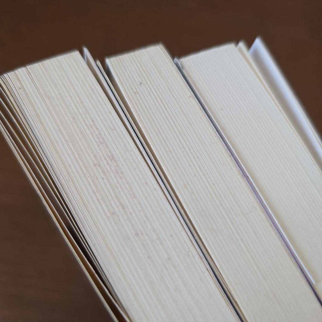 千草忠夫　シリーズ闇狩り人　3冊セット　アップルノベルス　日本出版社