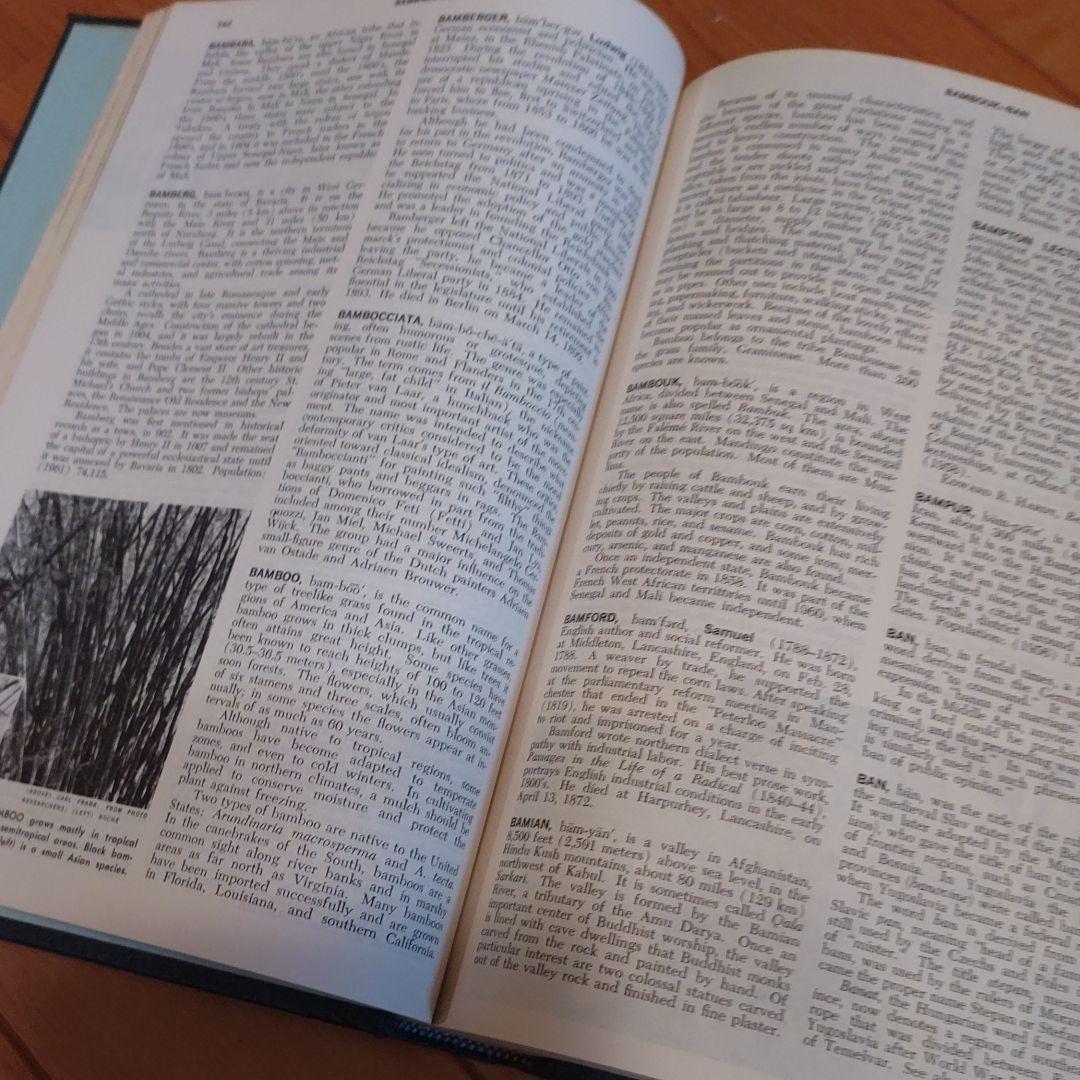 （お値下げいたします）ENCYCLOPEDIA AMERICA