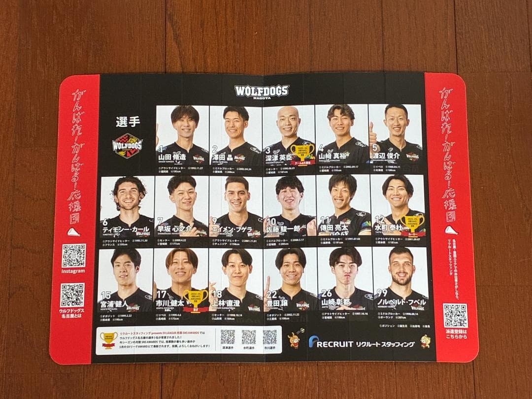 水町泰杜 ウルフドッグス名古屋 タオル、MDP、ハリセン２枚
