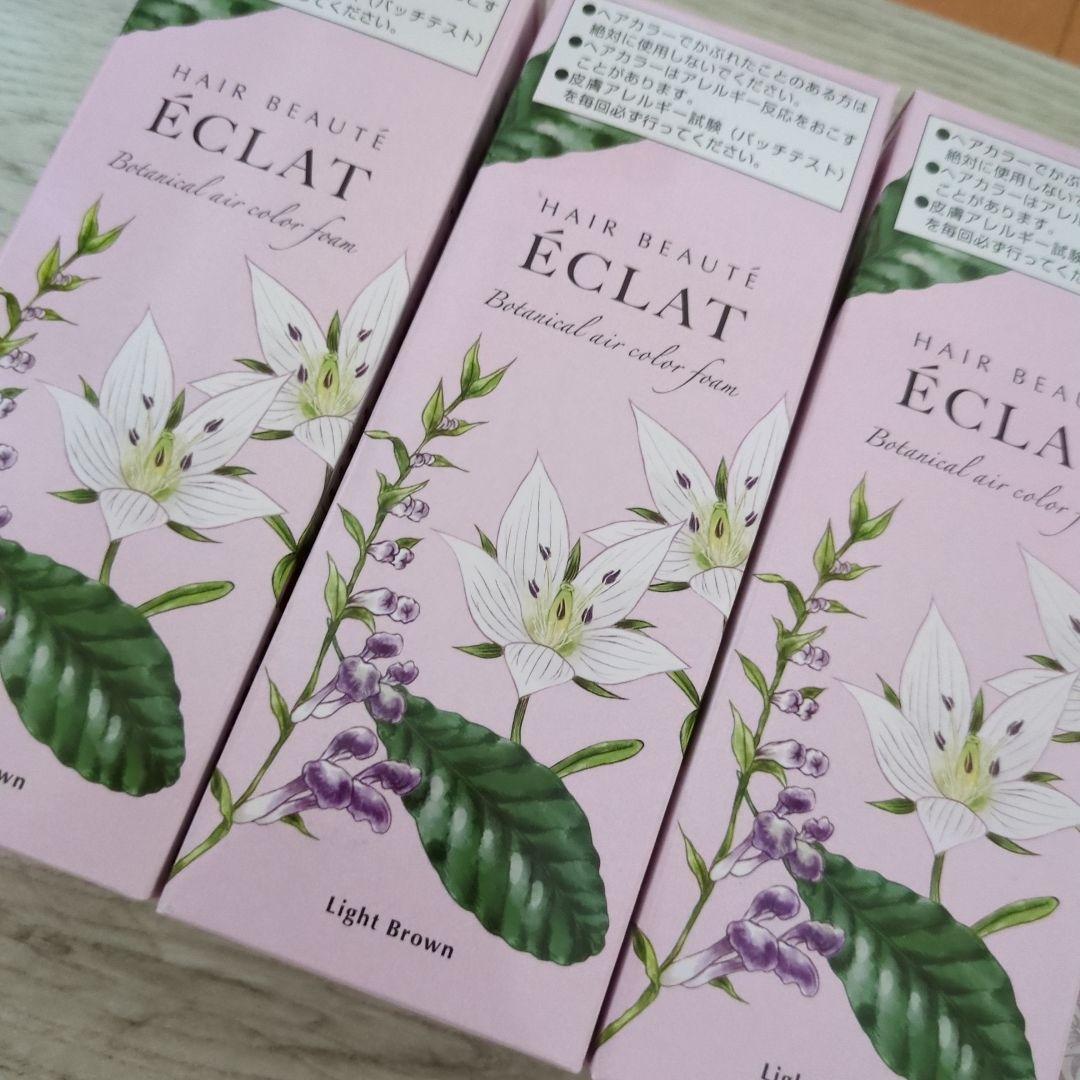 a*i様 ECLAT エアカラーフォーム ライトブラウン 80g