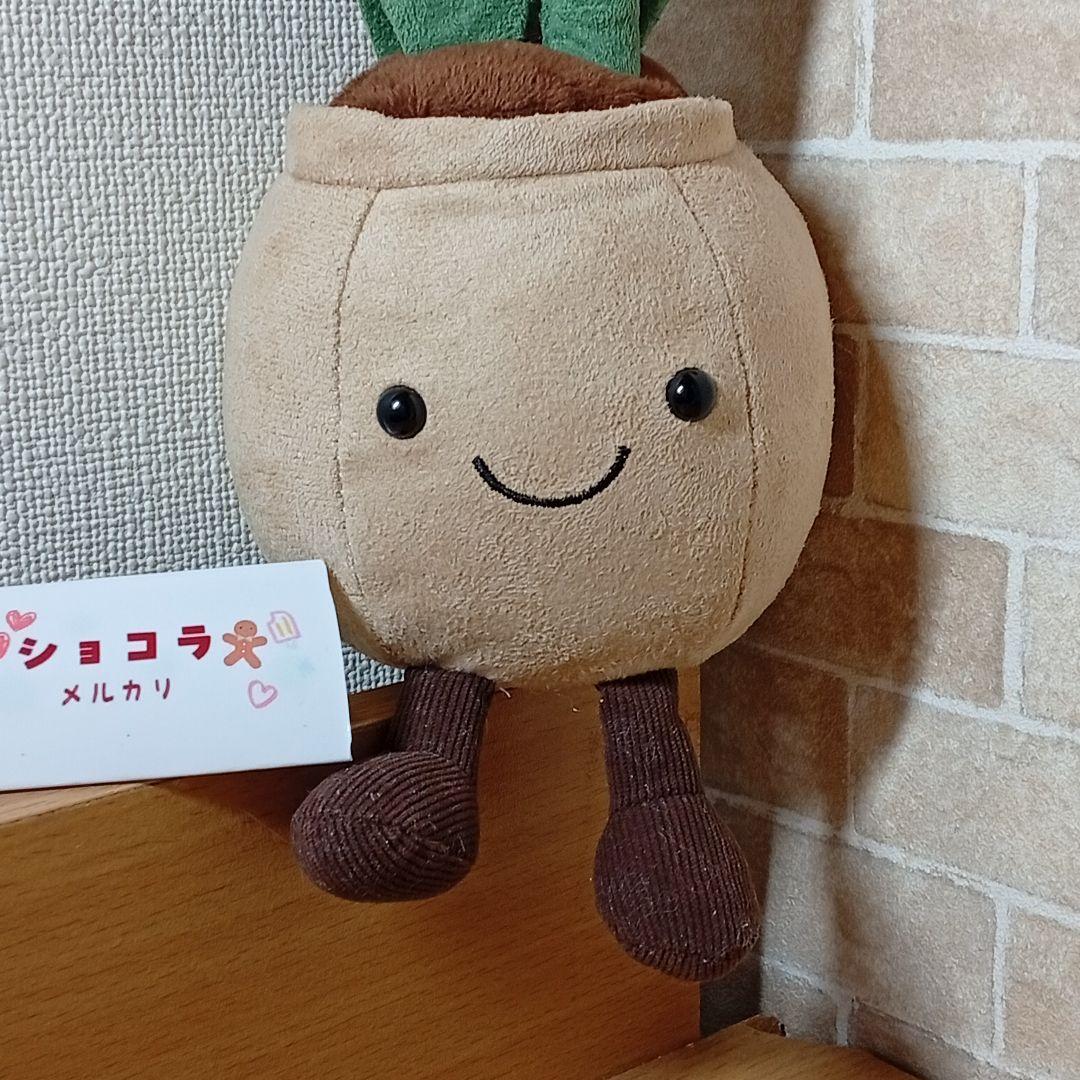  tulip pot　ジェリーキャット　チューリップ 花 植木鉢
