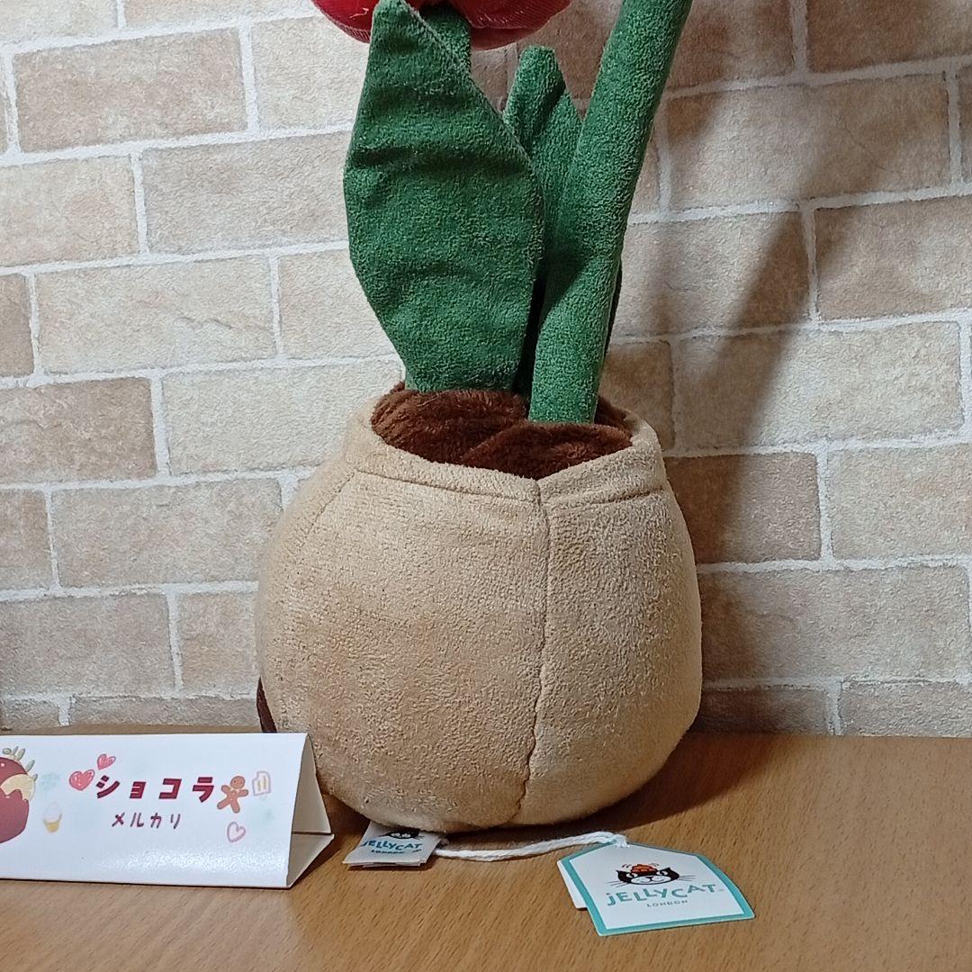  tulip pot　ジェリーキャット　チューリップ 花 植木鉢