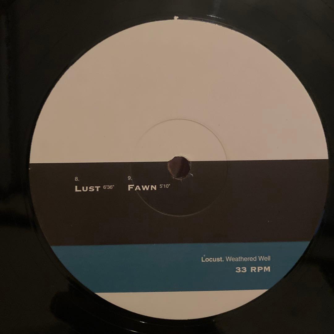 洋楽 Locust Weathered Well 2LP