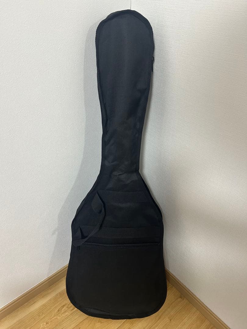 バッカス エレキギター G-STUDIO PLD/M BLK-MH
