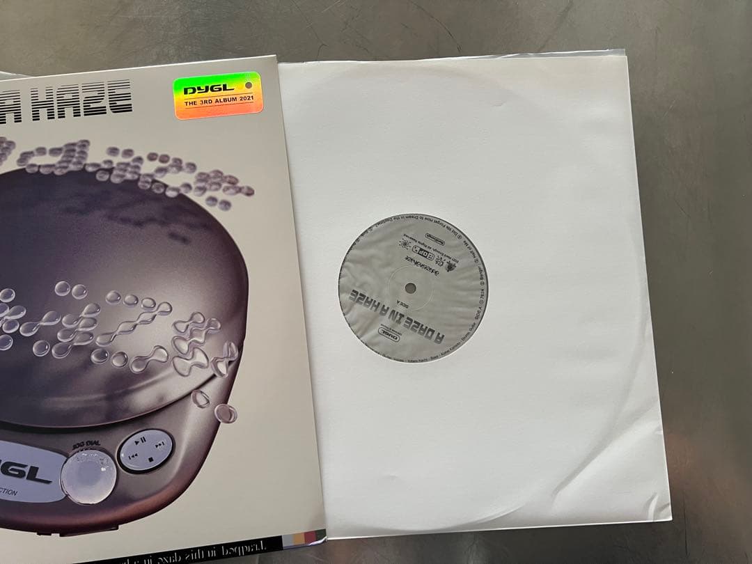 邦楽 DYGL / A Daze in a Haze / LP