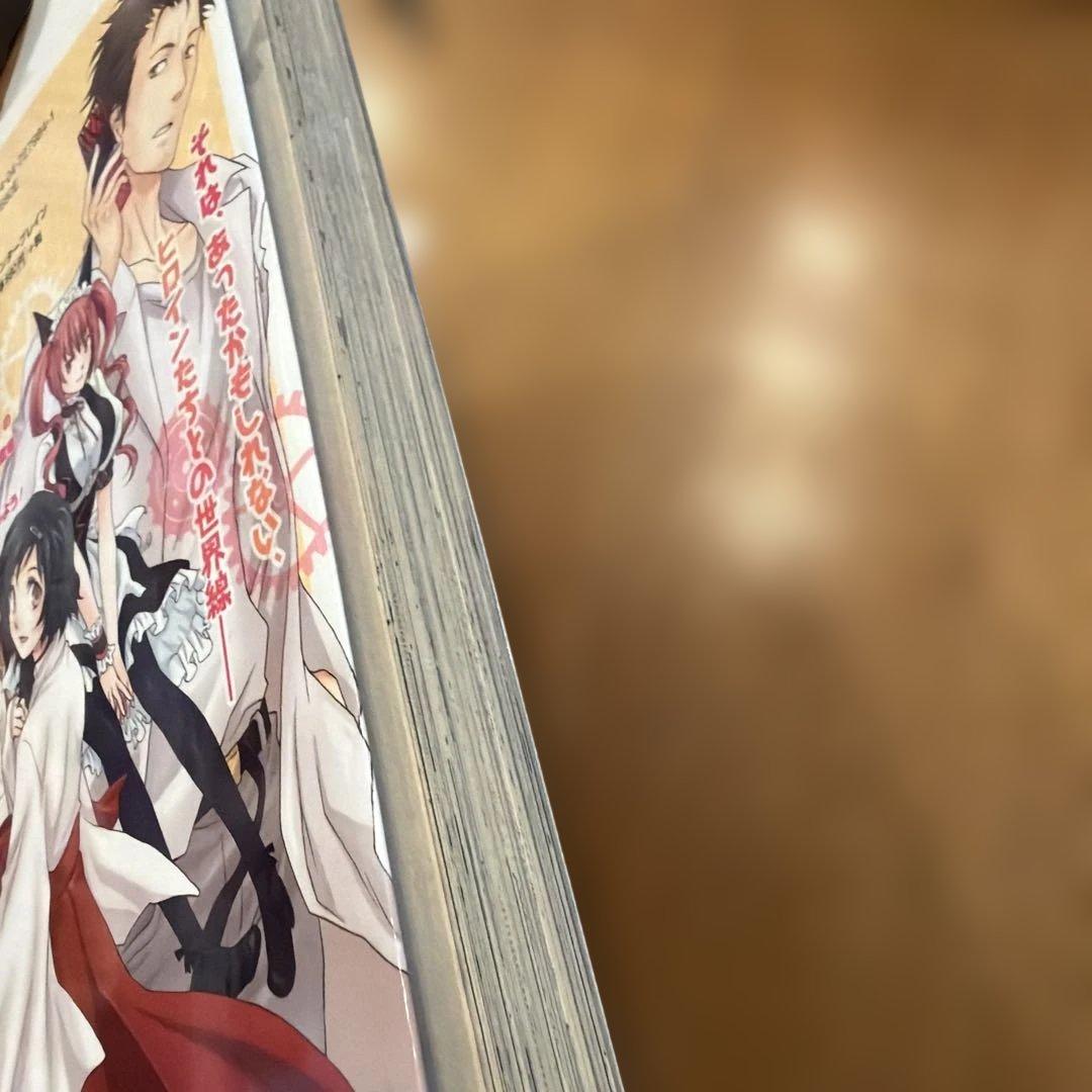 STEINS;GATE DROPS 初回特典　とらのあな　　イラストカード付き