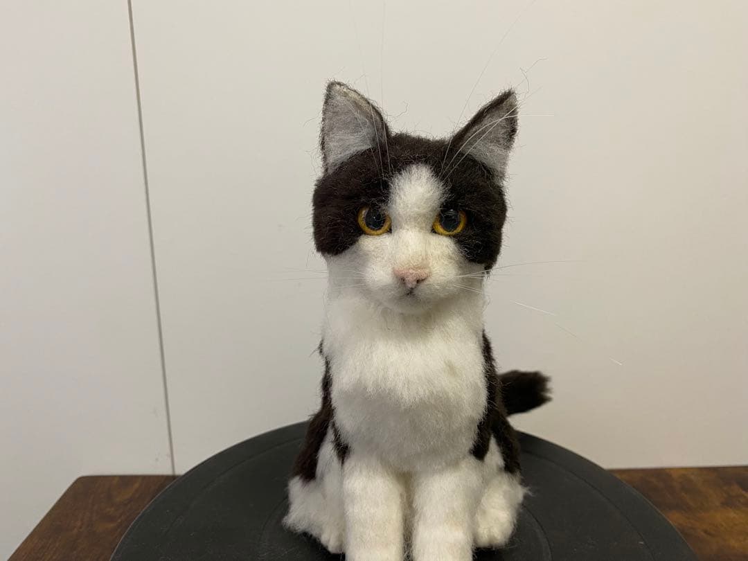 Aru Sohdaroh☆白黒ハチワレちゃんのお座り姿