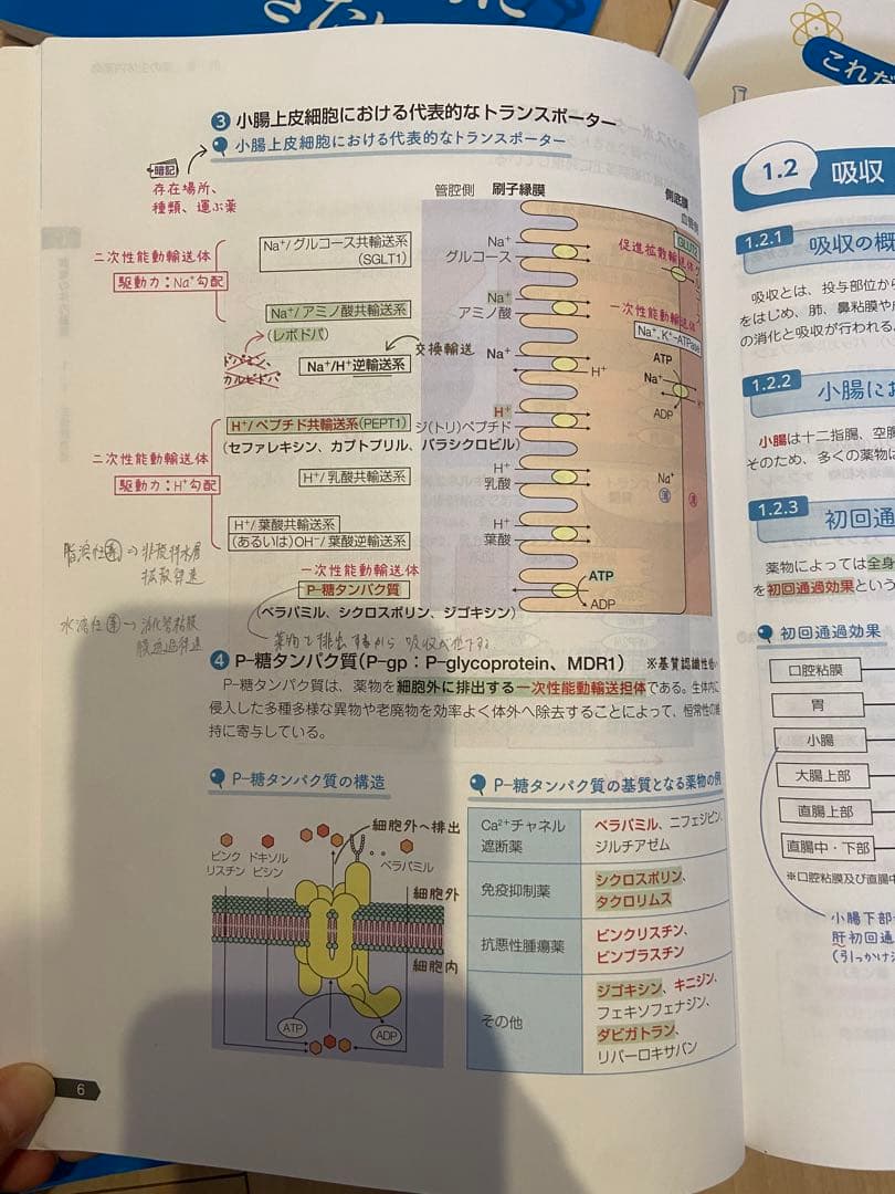 薬ゼミの要点集 全9巻セット