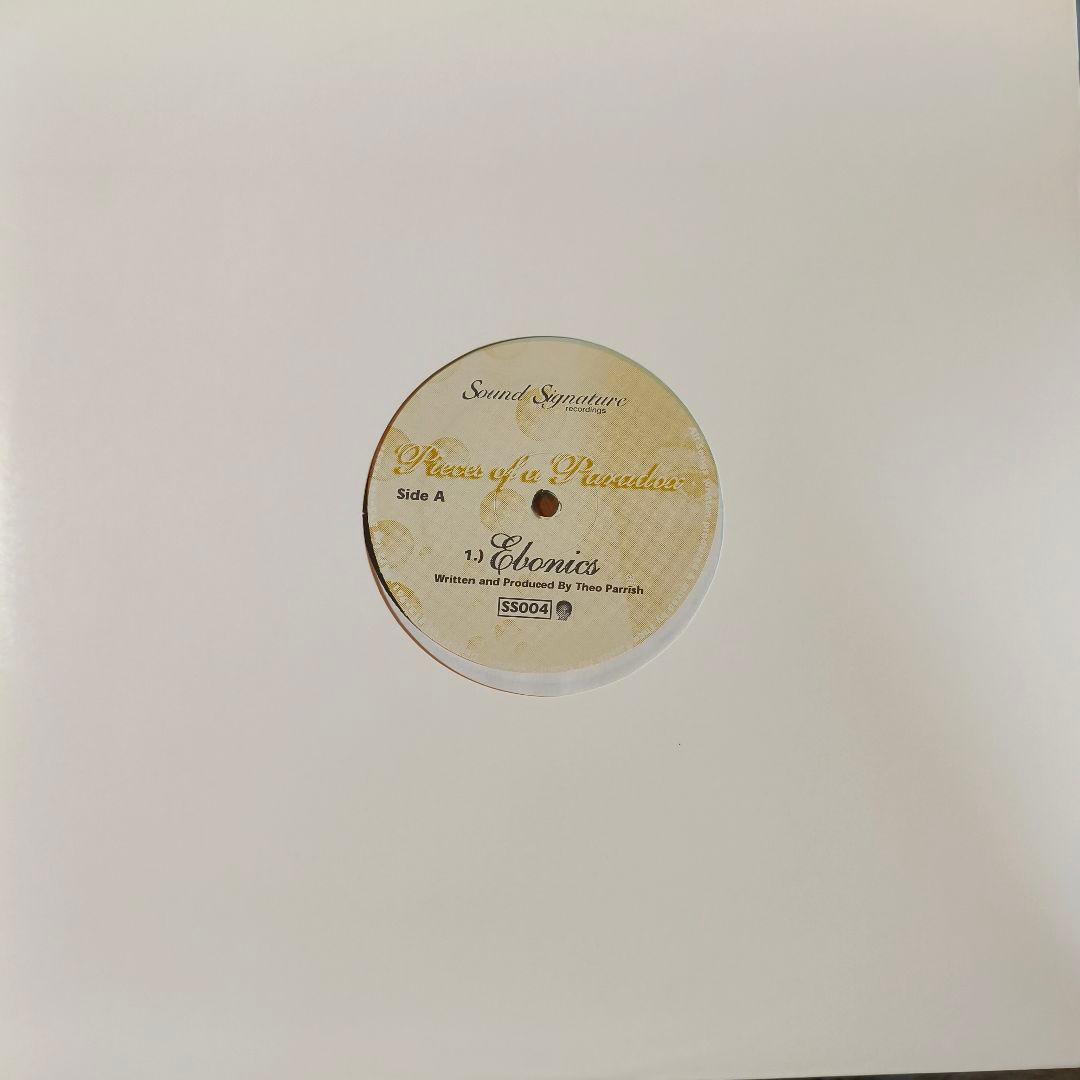● Theo Parrish – Pieces Of A Paradox　未使用