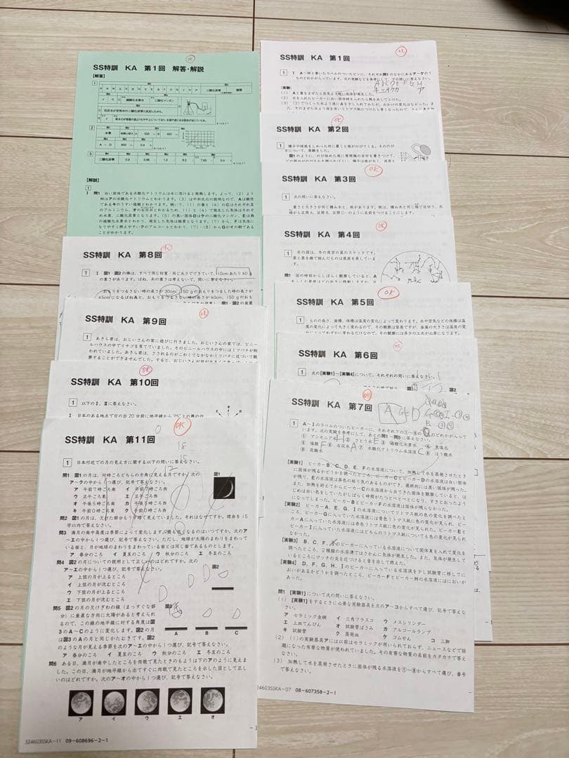 サピックス　理科プリント　6年　開成クラス　SS特訓