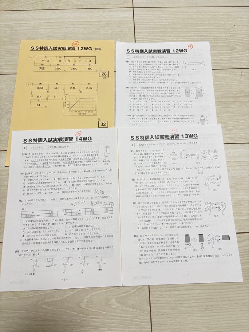 サピックス　理科プリント　6年　開成クラス　SS特訓