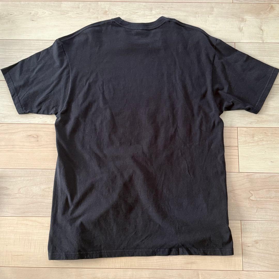stussy ステューシー 00s ベイビーフォト Tシャツ