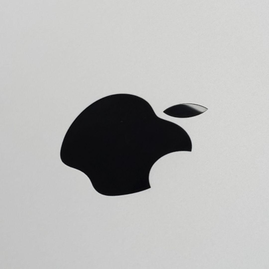 【極美品】iPad Air 2 Wi-Fi 64GB 第2世代 付属品完備